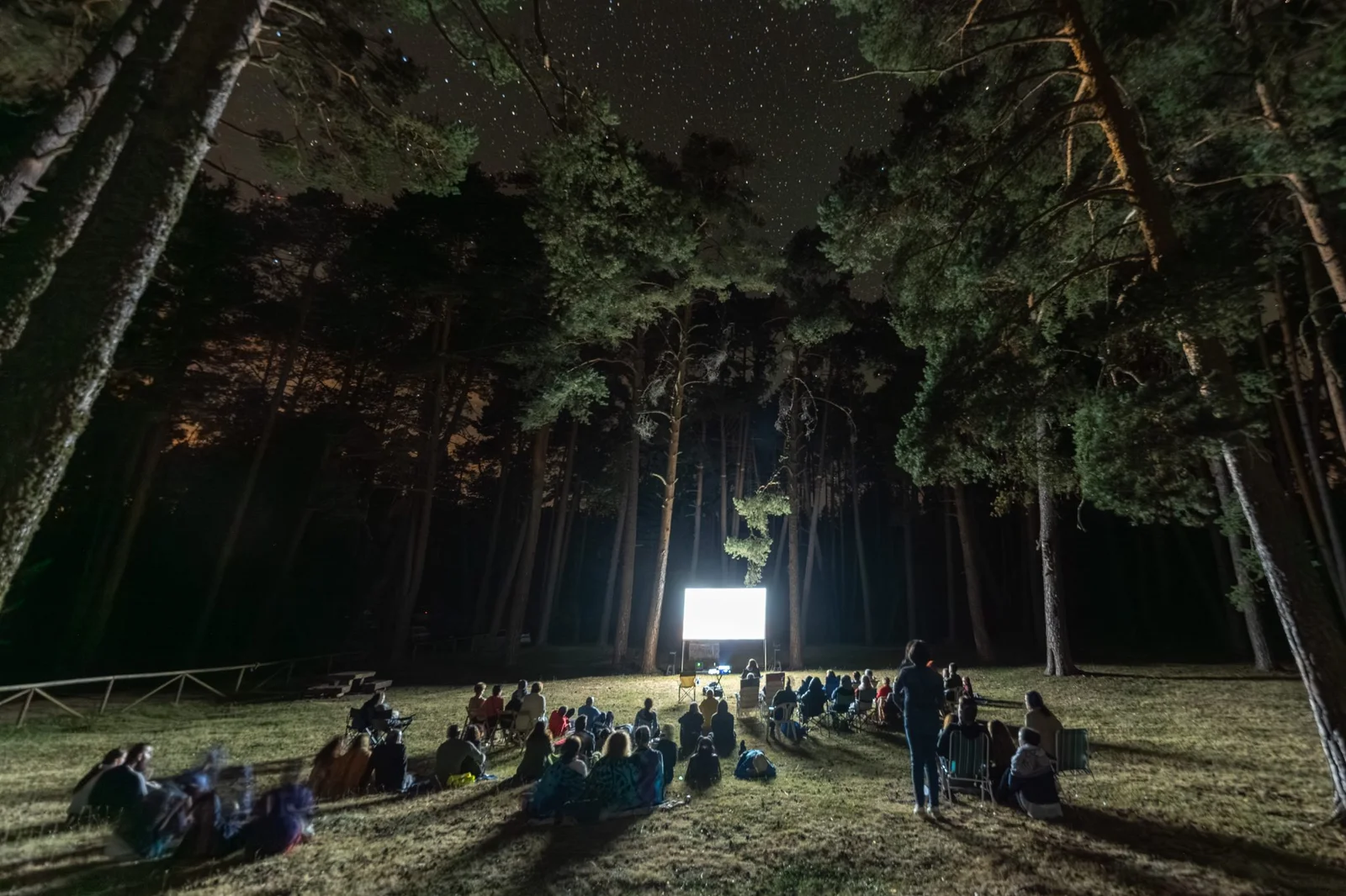 Proyección de Fotolanga al aire libre, entre los árboles