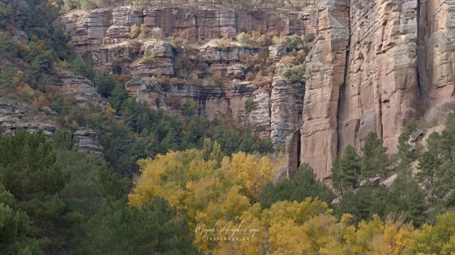 Portada de Otoño en el Barranco de la Hoz