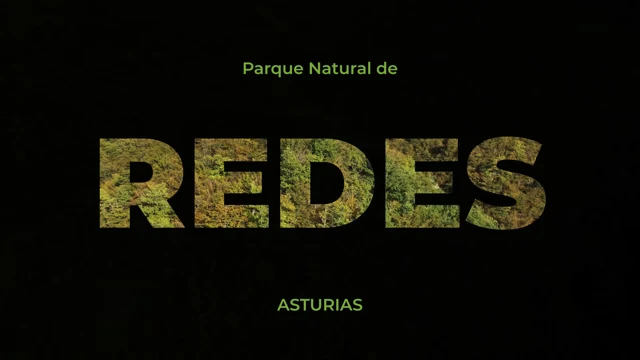 Portada de Redes