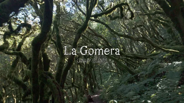 Portada de La Gomera