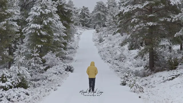 Portada de Primeras nieves de la temporada