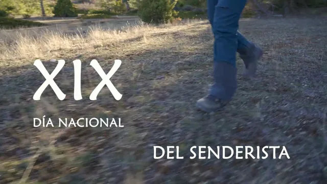 Portada de XIX DÍA NACIONAL DEL SENDERISTA