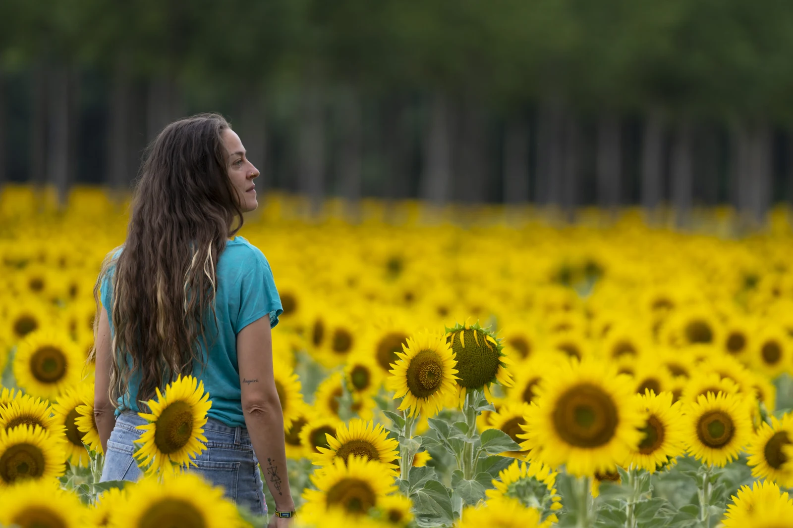 Retrato en un campo de girasoles, fotografía de Miguel Ángel Langa